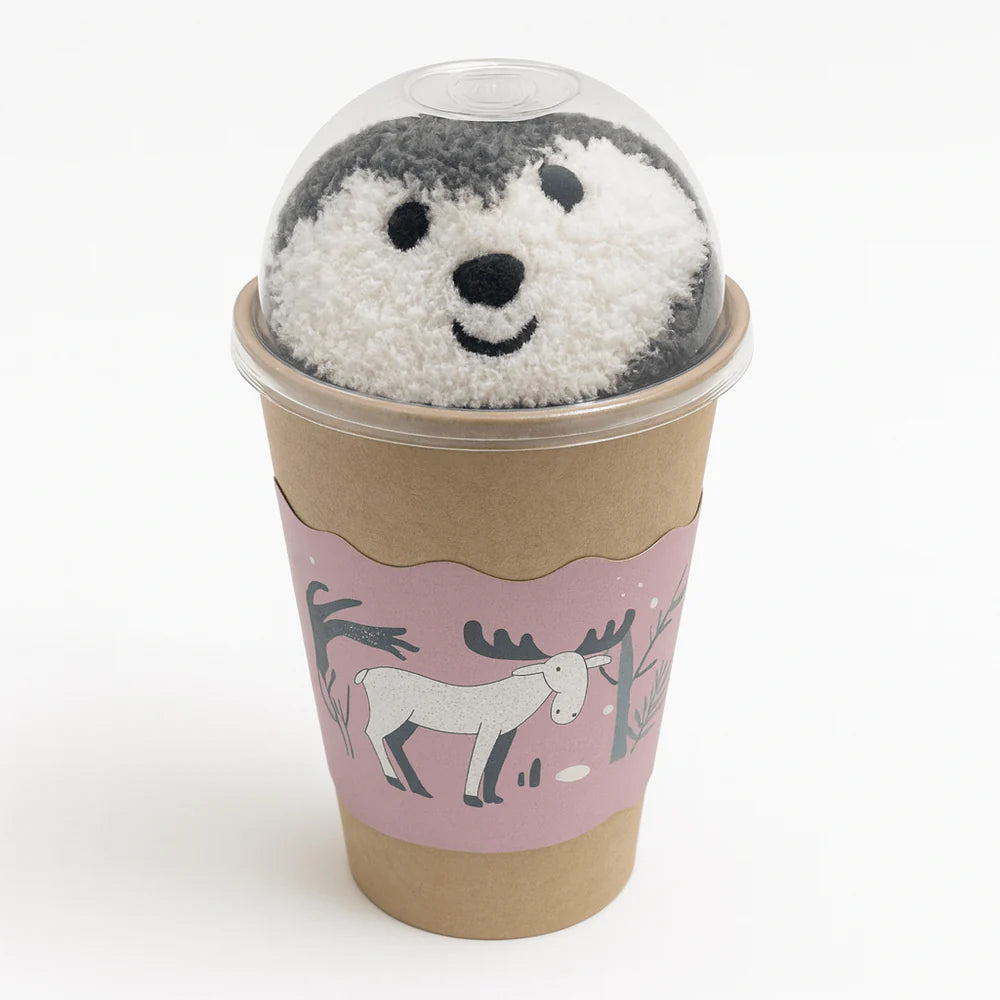 Caja Contenedora pares de Calcetines